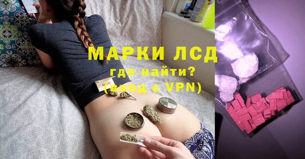 PSILOCYBIN Осинники