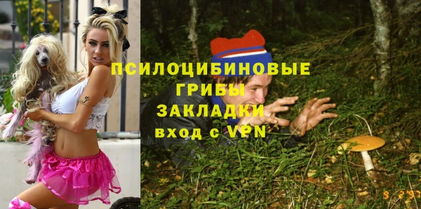 стаф Армянск