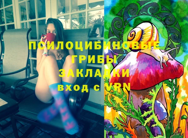 дмт Аркадак