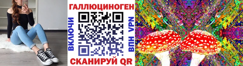 купить закладку Судак Галлюциногенные грибы GOLDEN TEACHER